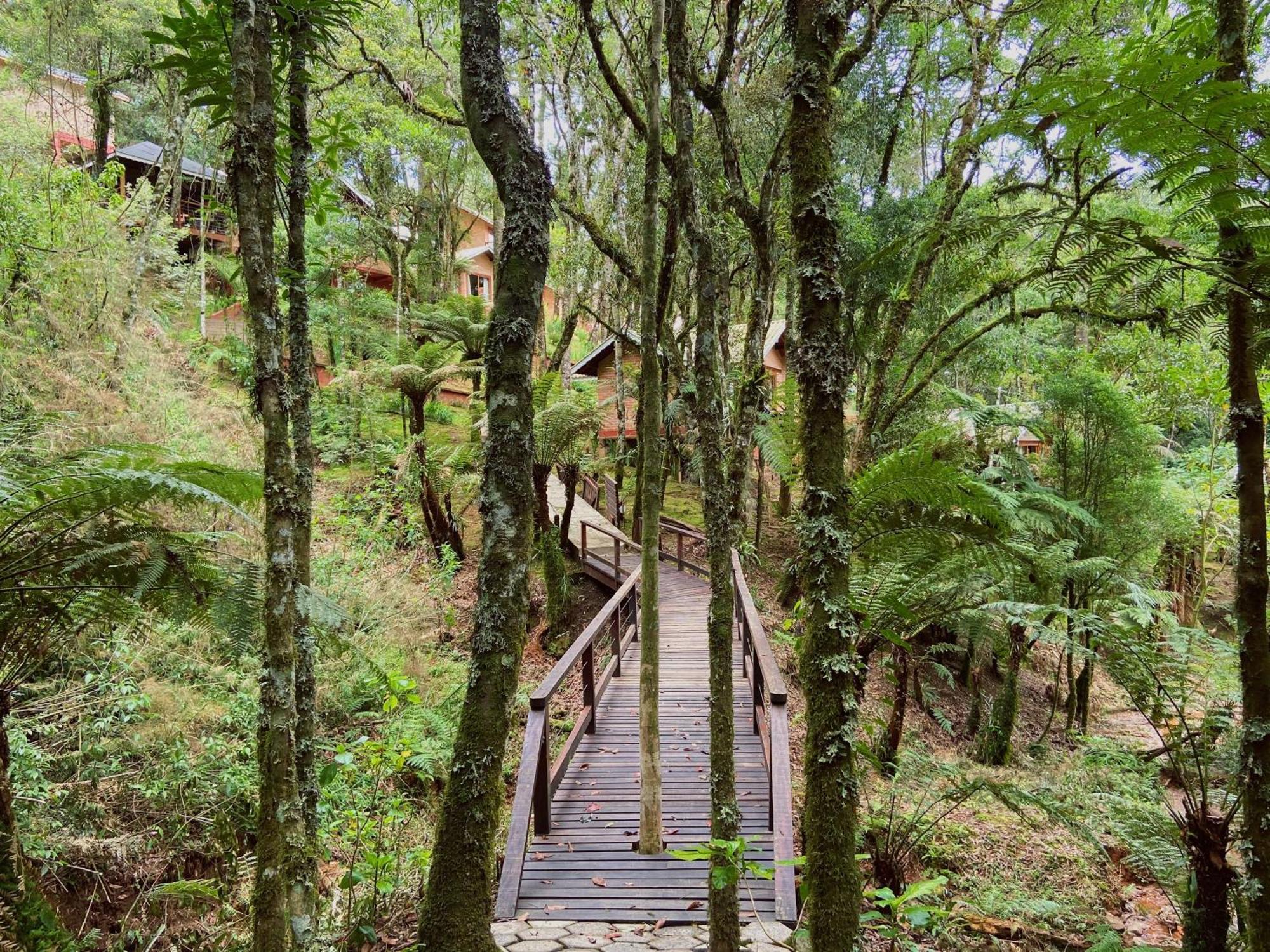 Vivie Pousada Monte Verde  Exteriör bild